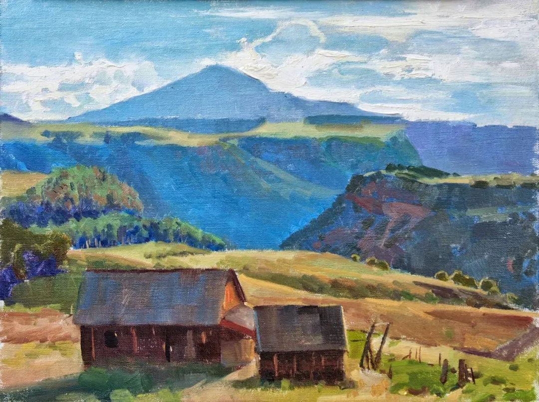 塞尔吉奥@两次入选年度沙龙的决赛,他的画到底美在哪里?