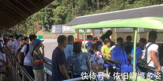 法庭|依法兴旅，双峰山生态旅游法庭守护绿色