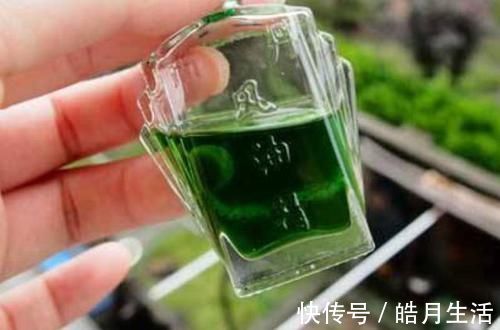 起床|睡前把“风油精”滴入肚脐眼,第二天起床后,你知道有什么效果吗