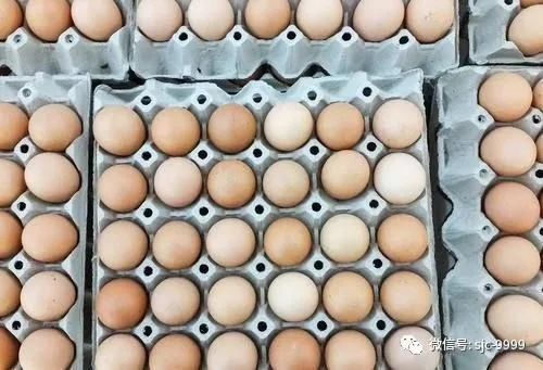 天热了鸡蛋容易坏,不用放进冰箱,老农教你1招,放2个月还新鲜