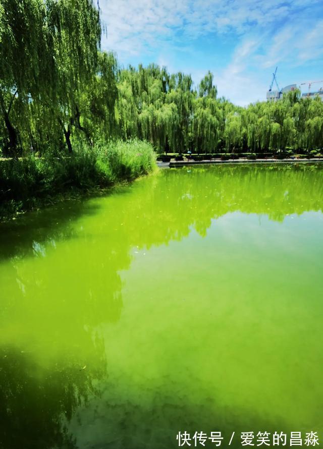 画堂|每日一词《踏莎行》赏析