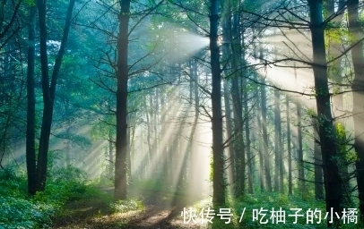 这首诗|崔涂的一首哲理诗，寥寥数语，却蕴含深刻，令人赞赏不已