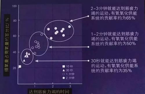 站姿|4分钟Tabata训练，高效粗暴的燃脂运动