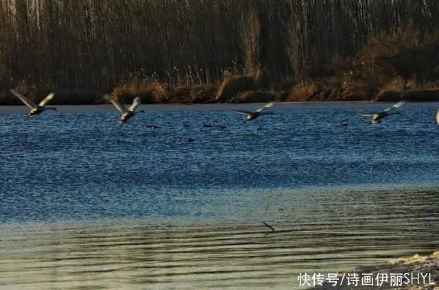 春暖芳草湖|彩色伊宁| 中年