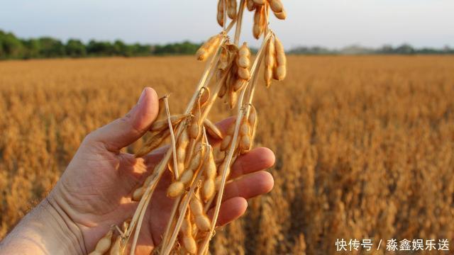 钙是虾的3倍,铁是猪肉的5倍,5块钱一斤,可惜很多人不爱吃