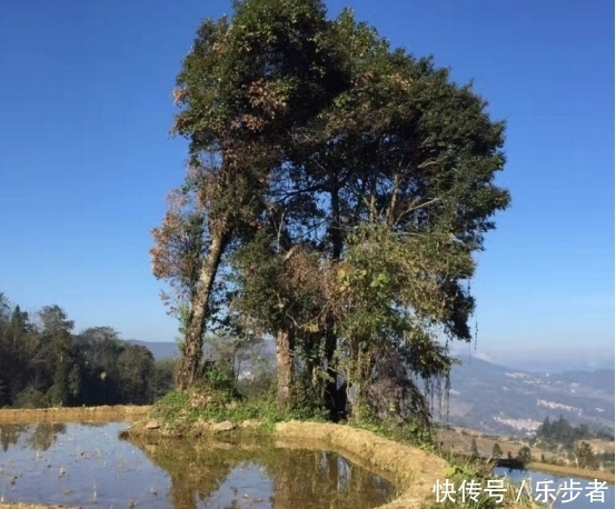 元阳梯田—寻找不一样的美