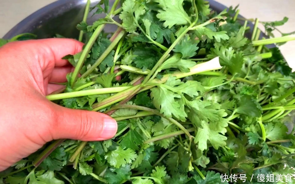 香菜|香菜别再放冰箱保存了，教你一招，芫荽一冬天都新鲜翠绿，很实用