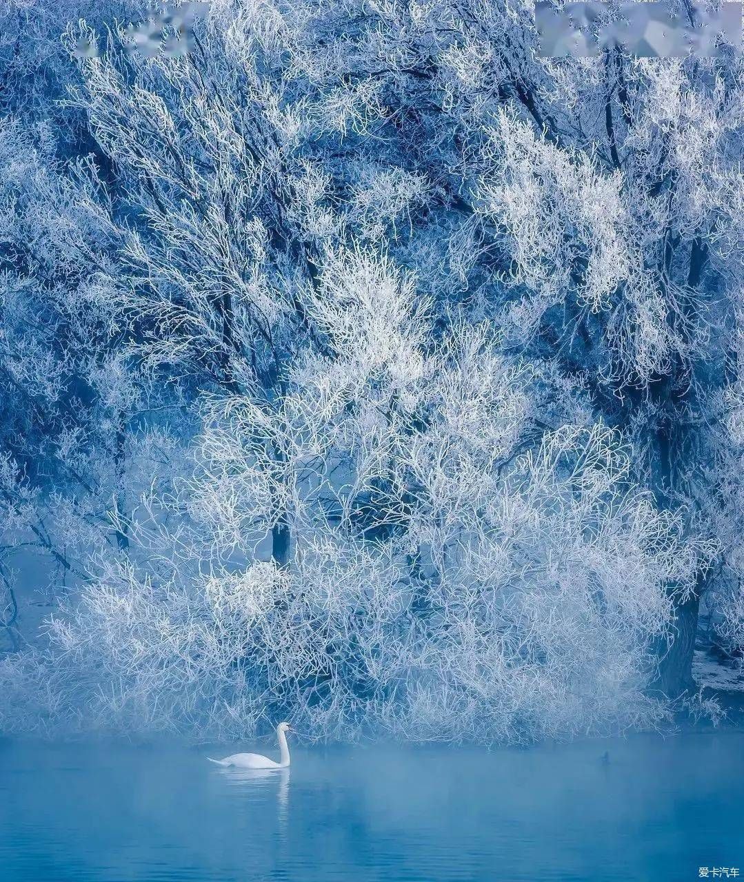 不到过新疆，永远不知道雪有多大。