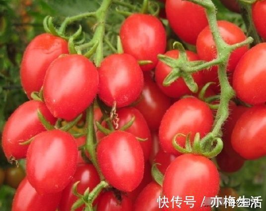 营养物质|女人怀孕后,常吃3种水果,宝宝出生后白白胖胖,别再傻傻分不清