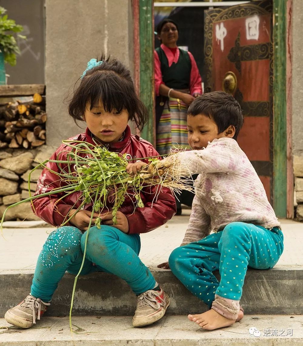  冬季到西藏，探寻山谷里的居民