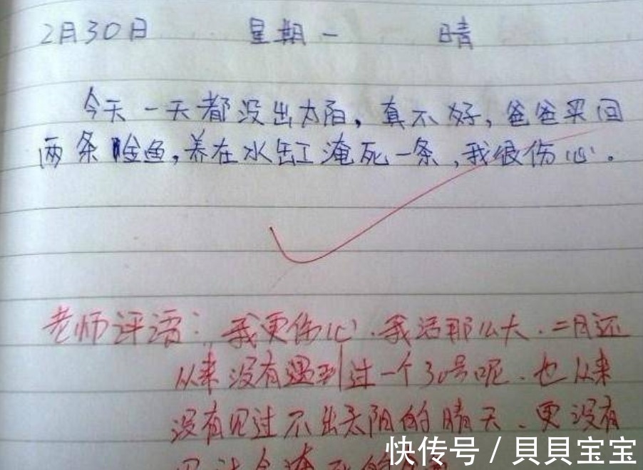 孩子|“我养的鱼淹死了”,老师批学生没有常识,专家:孩子是对的