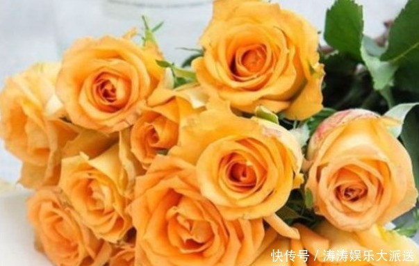 花瓣|喜欢菊花,不如养“高端玫瑰”假日公主,金色花瓣,熠熠生辉