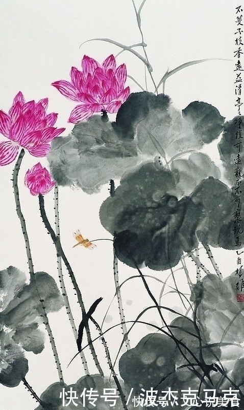 荷花&中国画荷花四幅:为了爱而画画,并非为了画画而画画