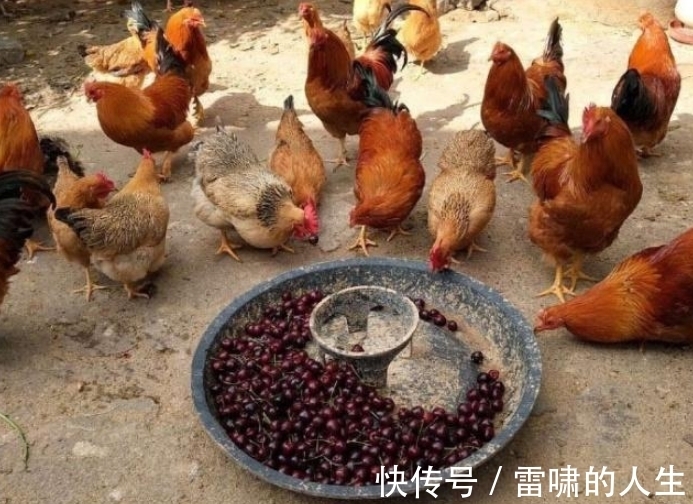 |搞笑段子:回家怎么不把车开田里,让村里人来帮忙推车?