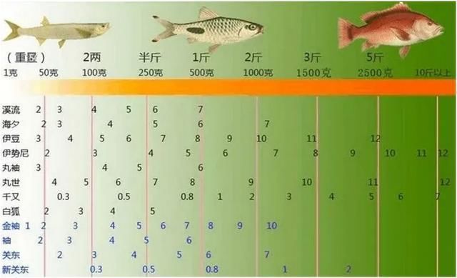 “钓场”秒变“角斗场”,一钓友付出“冲动的代价”
