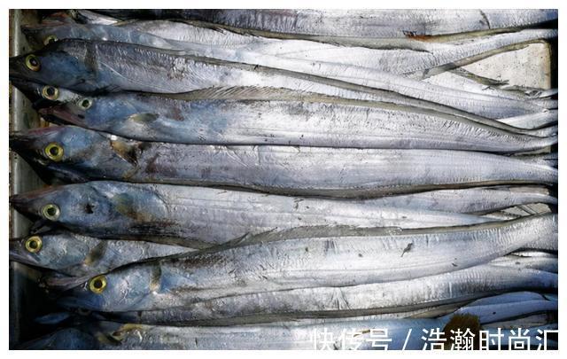 鱼类|请停止食用这4种鱼,可能含有甲醛和重金属,建议转给家里人看看