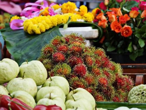  花和栀子|花市买回来的花，会出现各种不适，教你4招，轻松适应新家