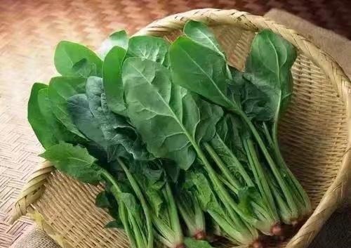 便血|得了痔疮不要怕,菠菜加它这样吃,消肉球,止便血,赶走老痔疮