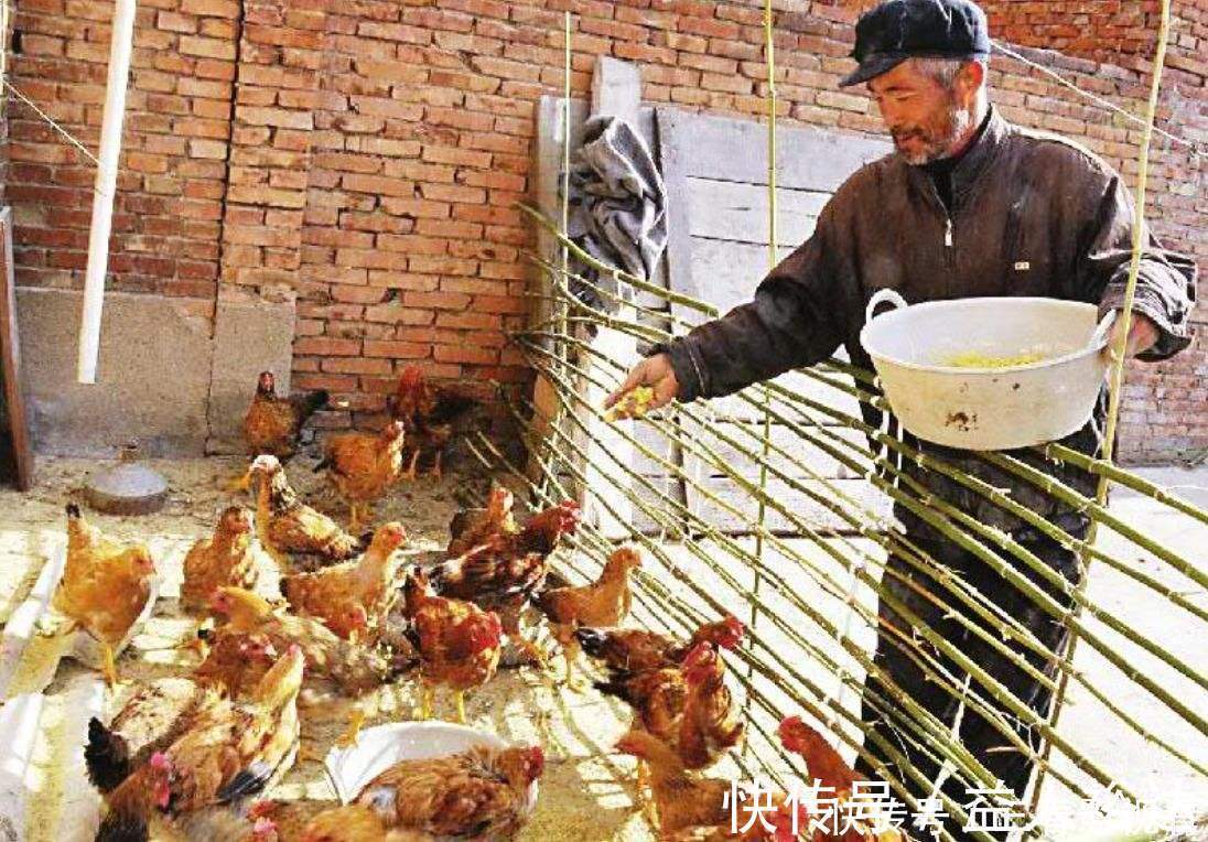 儿媳妇|人到晚年才明白,老人想要住在儿子家,需要满足3个条件,很准