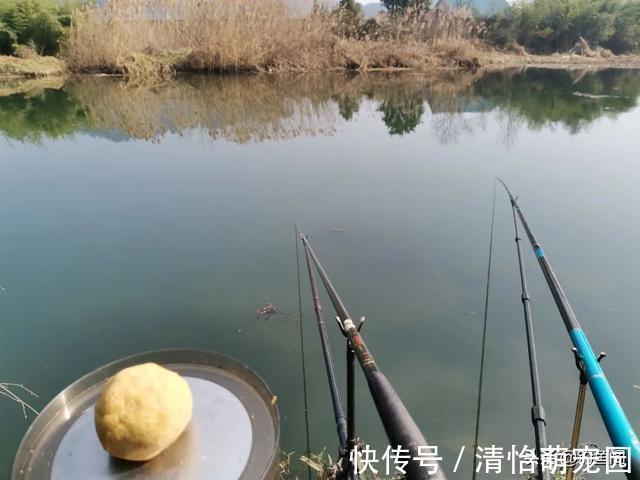 钓位好不好就看这3点,一条都不符合可别下杆,免得浪费窝料?