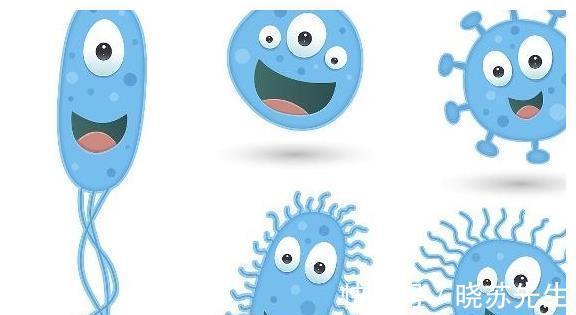 巨细胞病毒|孕妈若感染过这5种病毒,容易导致胎儿畸形,第3种你或许也患过