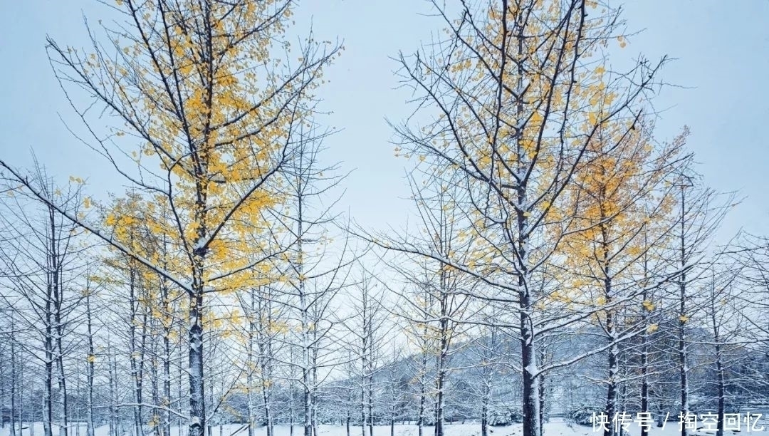 冬晚对雪忆胡居士家#下雪啦！不读这20句诗词，你就不知道雪有多美