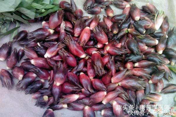 滋养肌肤的好食物,推荐女人常吃,补血调经、镇咳祛痰、消肿解毒