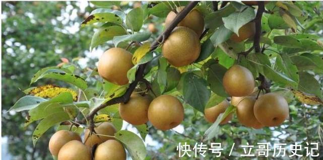 西瓜|4岁男童出现脾衰竭,儿科医生:除了西瓜,2种“毒果”也要少吃