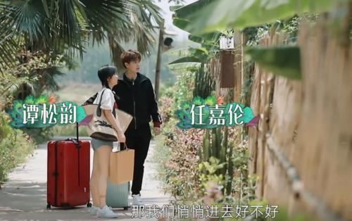 扎心|任嘉伦上《向往》变身“怼王”,句句扎心谭松韵,气得她成表情包