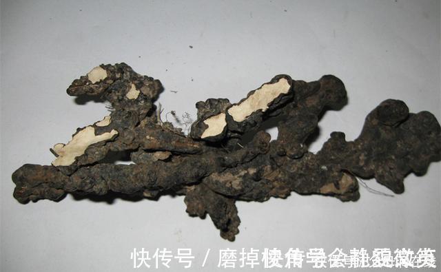 泽泻|有一味中药取名不太雅,善于利水祛湿,去湿气诸药“无如此快”