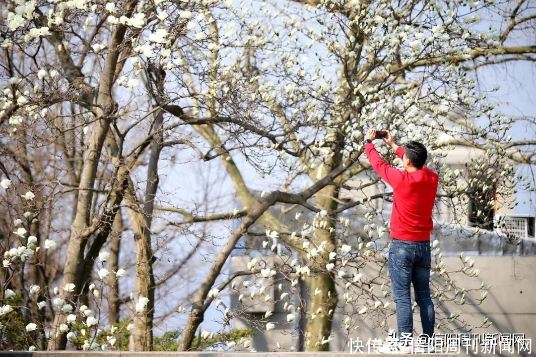 莫负春光，鸡公山上嗅花香