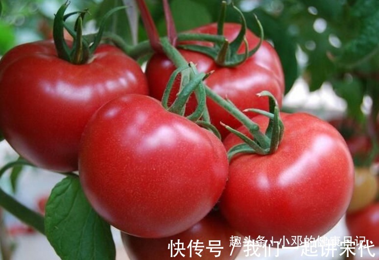 炒番茄|忠告炒番茄不能放此物,吃了生病也是自找,看完告诉身边人!