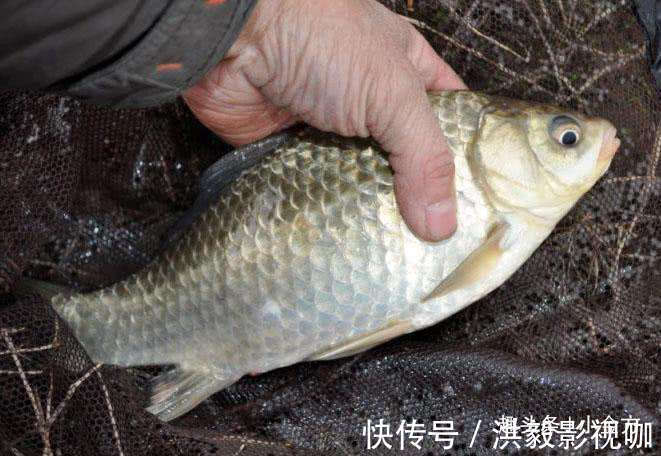 食疗|舌苔发红、油头垢面多半是湿热体质！2个食疗可以改善