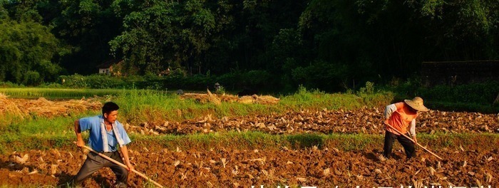富家小姐&千古绝对!上联:“闲看门中月”,网友:下联太有含义了!