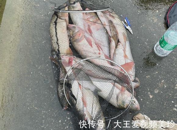 钓鱼|江西男子水库钓鱼20斤,不顾劝阻还戏称“很好玩”,最后被拘留