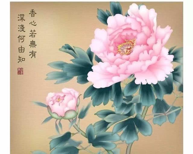 无此|归到江南无此花:唐代牡丹何时传到南方