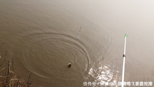 水温|冬季钓不到鱼未必是天冷,6个字概括了冬钓技巧,助你上鱼更多