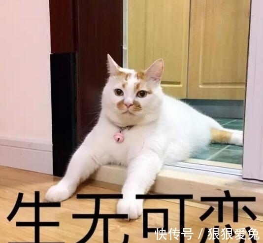 |笑话十则:正在相亲!结果这货来了句:你肚子里不会是有赠品吧