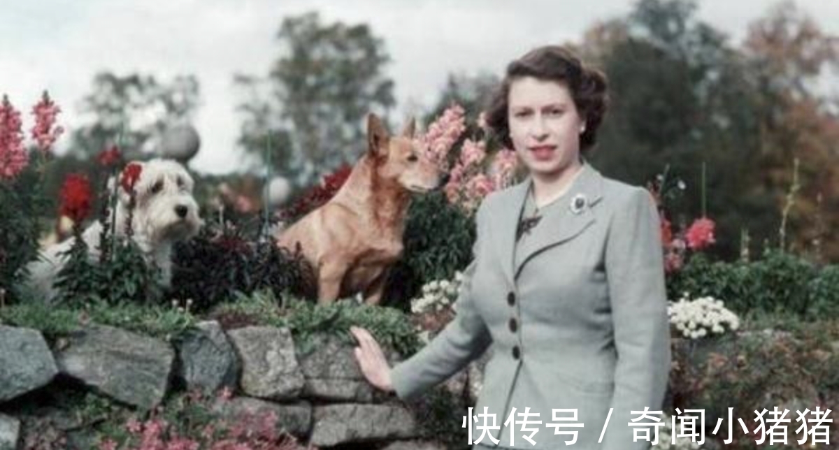 前沿|世界上最时髦的高龄老人，90多岁依旧走在时尚的前沿，气质优雅