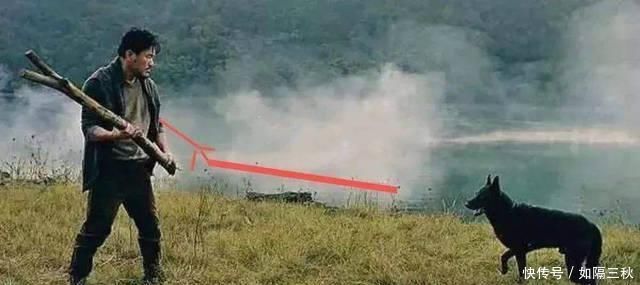 农村人说“狼怕一托,狗怕一摸”,这个说法有道理吗答案来了