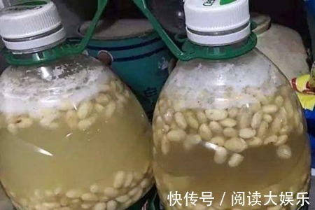 最厉害的养花营养液给君子兰喝一勺,叶子挺拔如折扇,花开不停