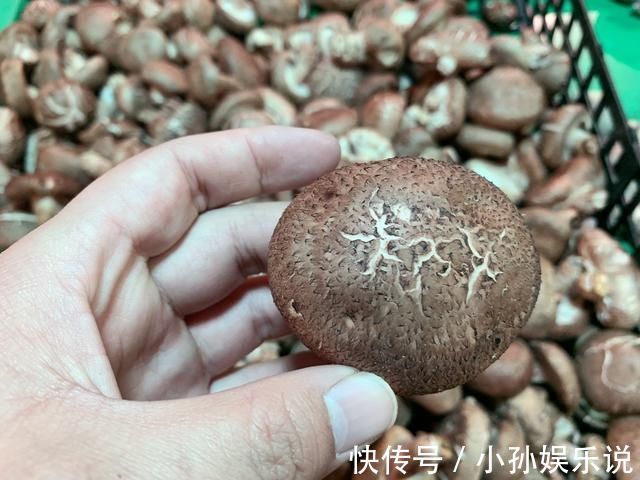 买香菇，选大的还是小的？老菜农教你4招，香菇味道浓郁又新鲜