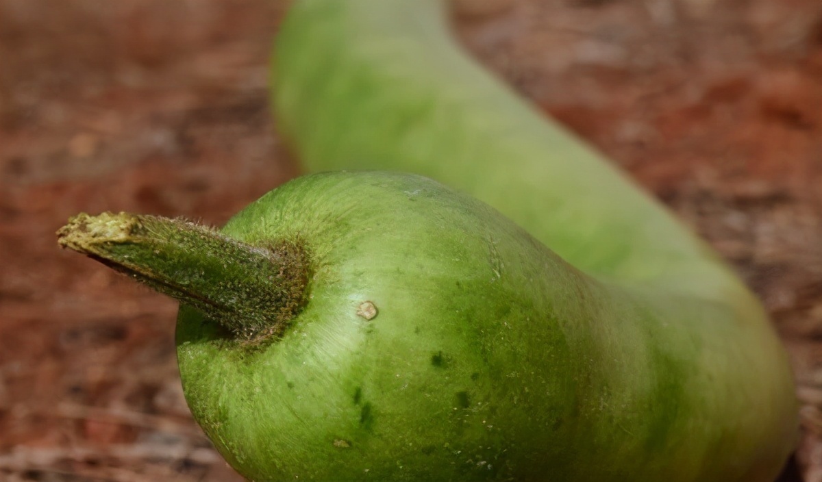 山药豆|想长寿全靠吃，3种食物离不开，排毒养颜，提高免疫力！