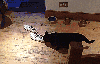 |搞笑GIF:太坑爹了,就这技术还出来赛车...