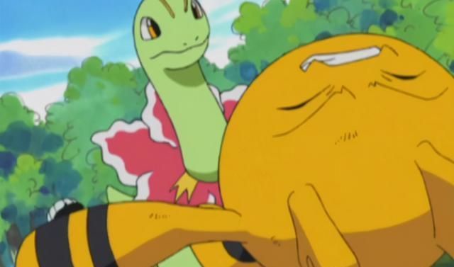 《宝可梦》第三次出现在动画中的奈奈,小次郎奇葩的放生方式!