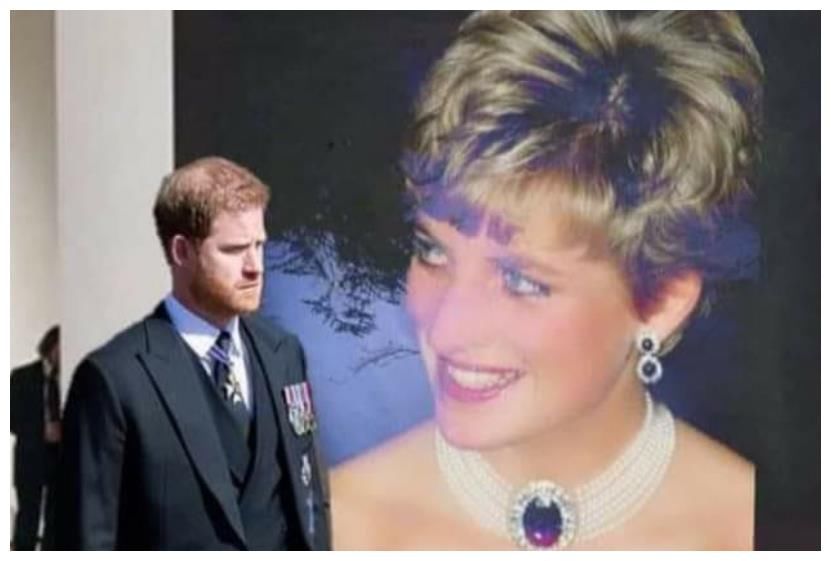 梅根又要出书了,亲子读物以小阿奇为灵感,署名还是公爵夫人