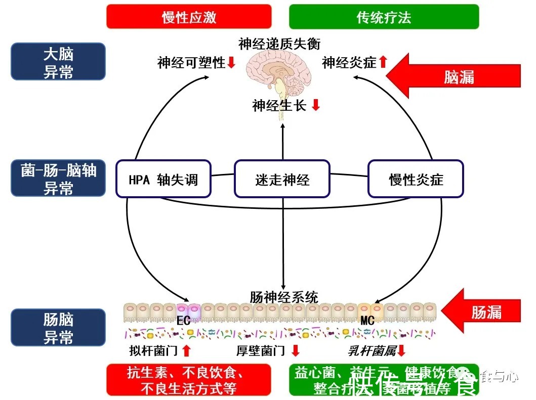 环境微生物ppt