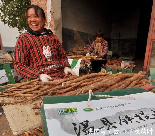 冒牌货|买铁棍山药,选粗的还是细的老菜农教我这几招,不怕买到冒牌货