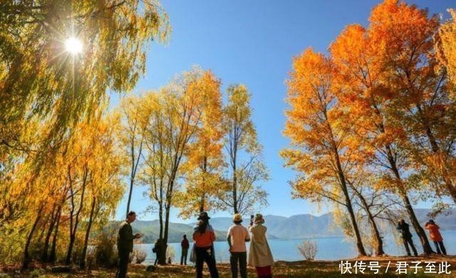 朋友|太撩人了！凉山人的朋友圈里，藏着最美清秋！