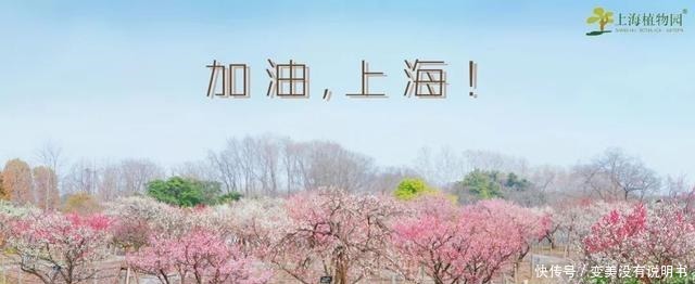 中年|“共同战疫,线上游园”第十期——“宅”在展览温室二中的花儿们!